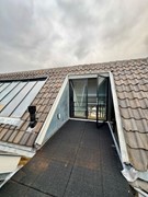 IMG_1268 2 Medium.jpeg